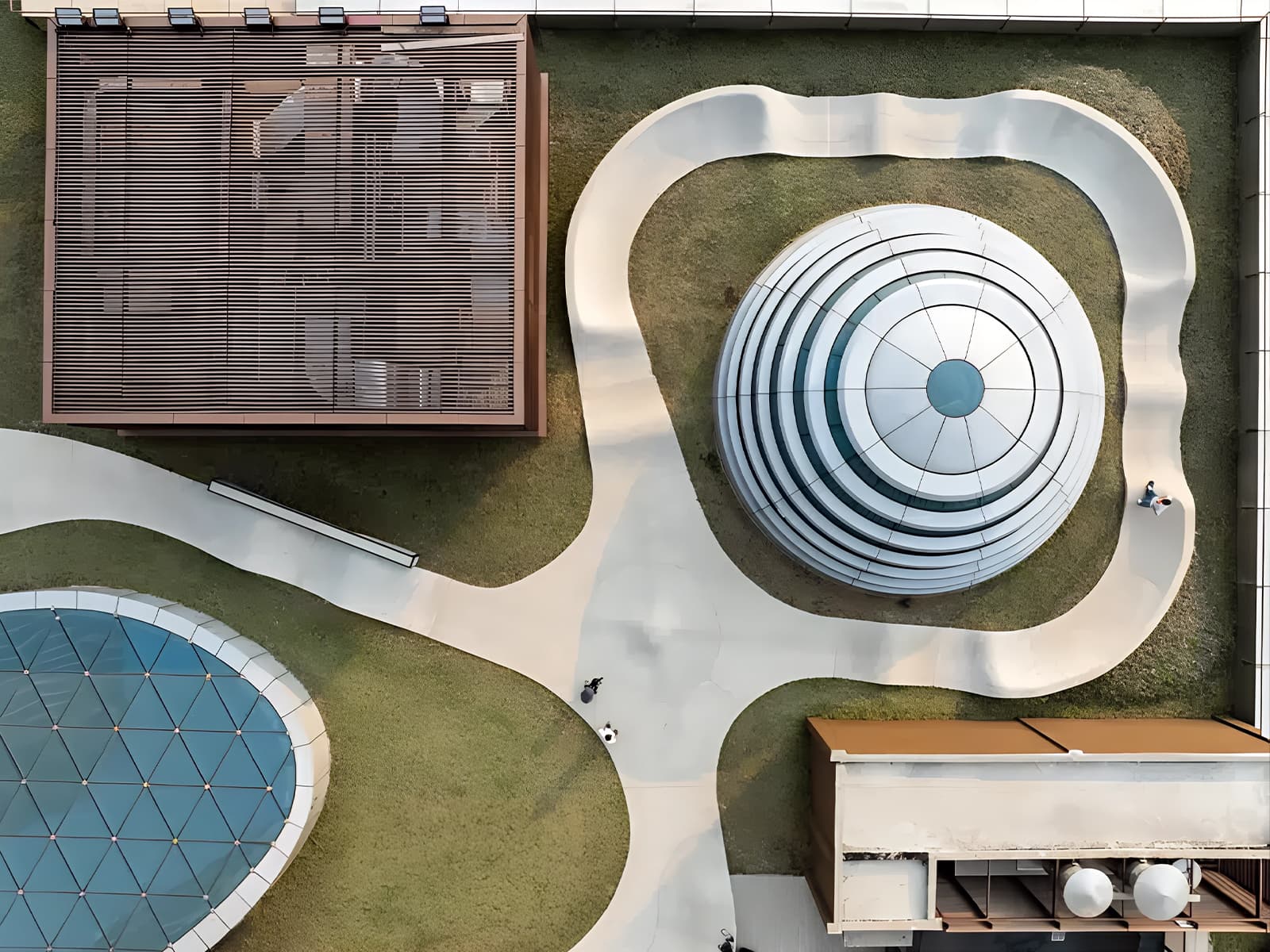 Пластичный и залитый солнечными лучами интерьер скейтпарка — проект AAN Architects