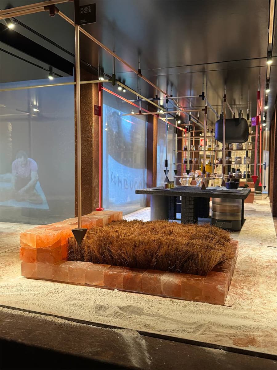 Чем запомнилась Венецианская архитектурная биеннале 2025: дневники Анны Сысоевой