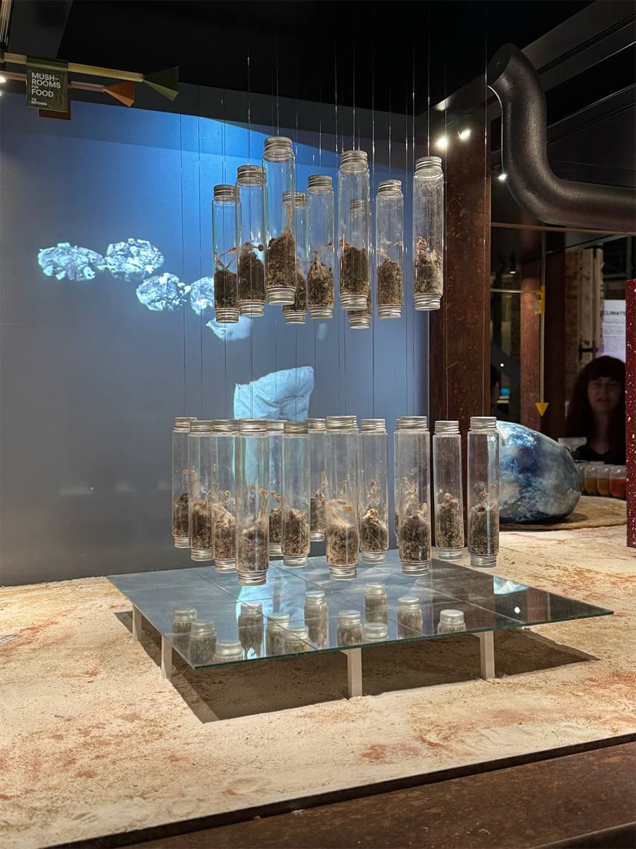 Чем запомнилась Венецианская архитектурная биеннале 2025: дневники Анны Сысоевой