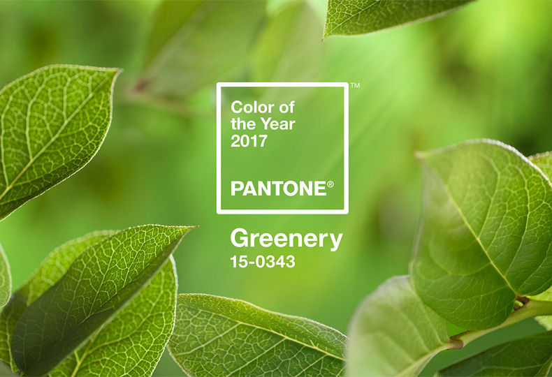 Вебинар «Цвет года по версии института цвета Pantone – Greenery»