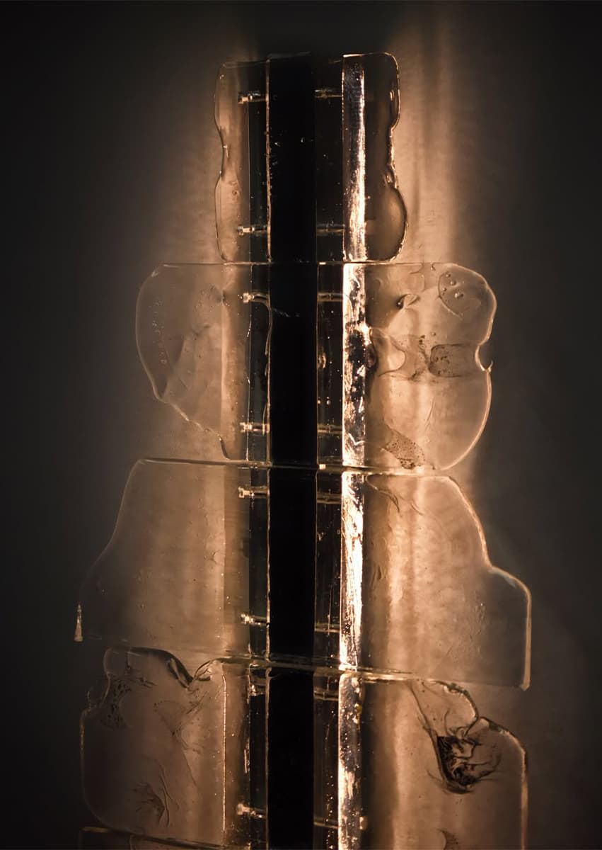 Alcova Miami 2025: выбор Design Mate