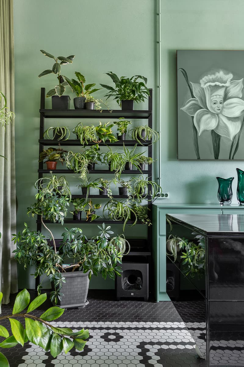 Графичный пол и зеленые оттенки в интерьере цветочного магазина — проект NOVU CLASSIC INTERIOR