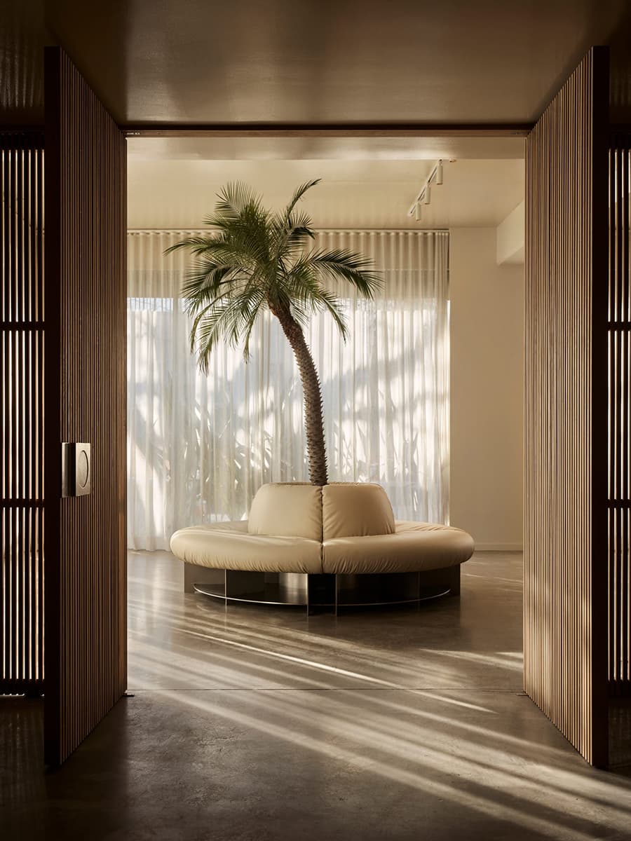 Четырехметровая пальма и лестница из стеклоблоков в интерьере австралийского шоурума — проект Ellison Studios