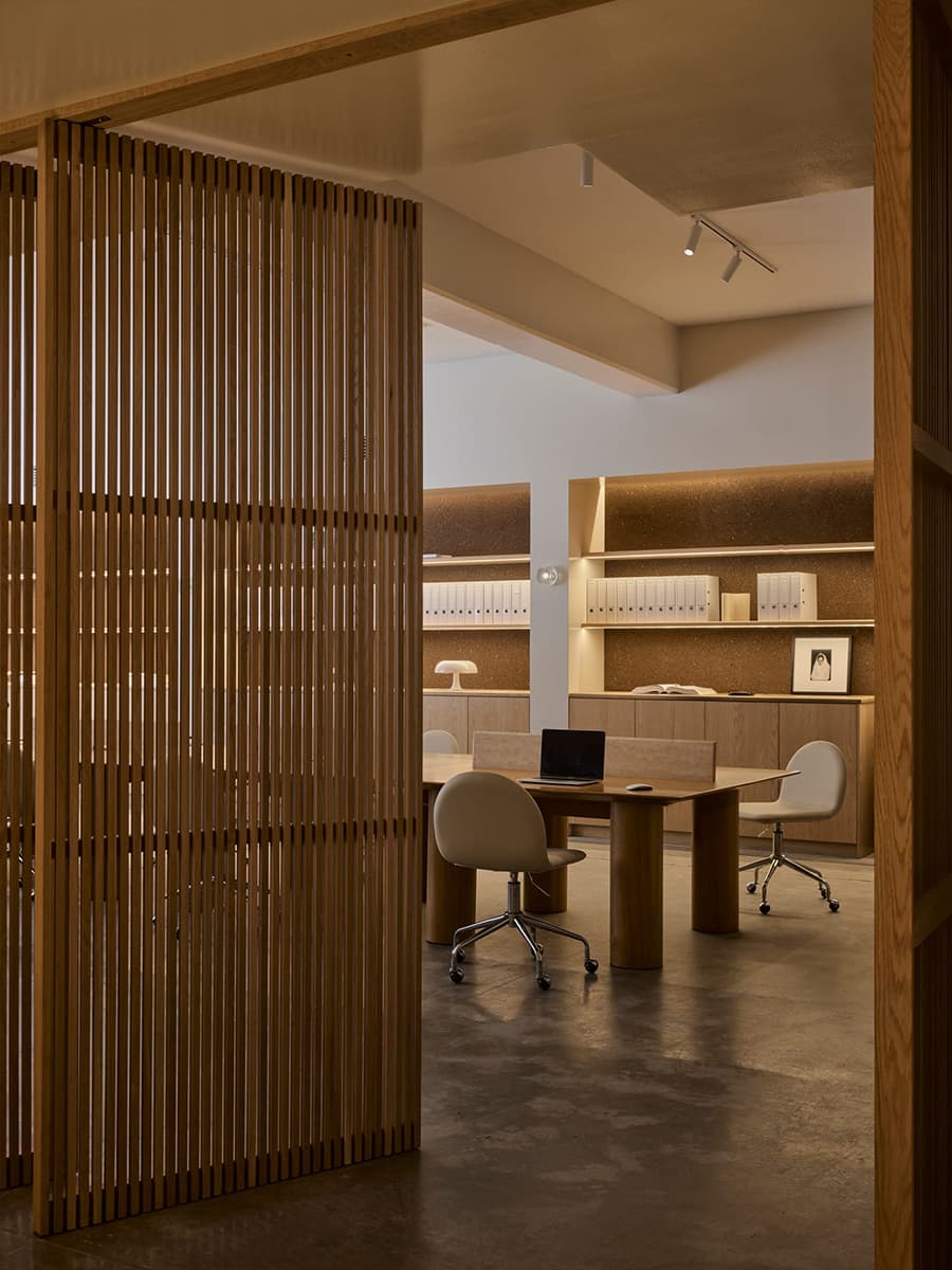 Четырехметровая пальма и лестница из стеклоблоков в интерьере австралийского шоурума — проект Ellison Studios