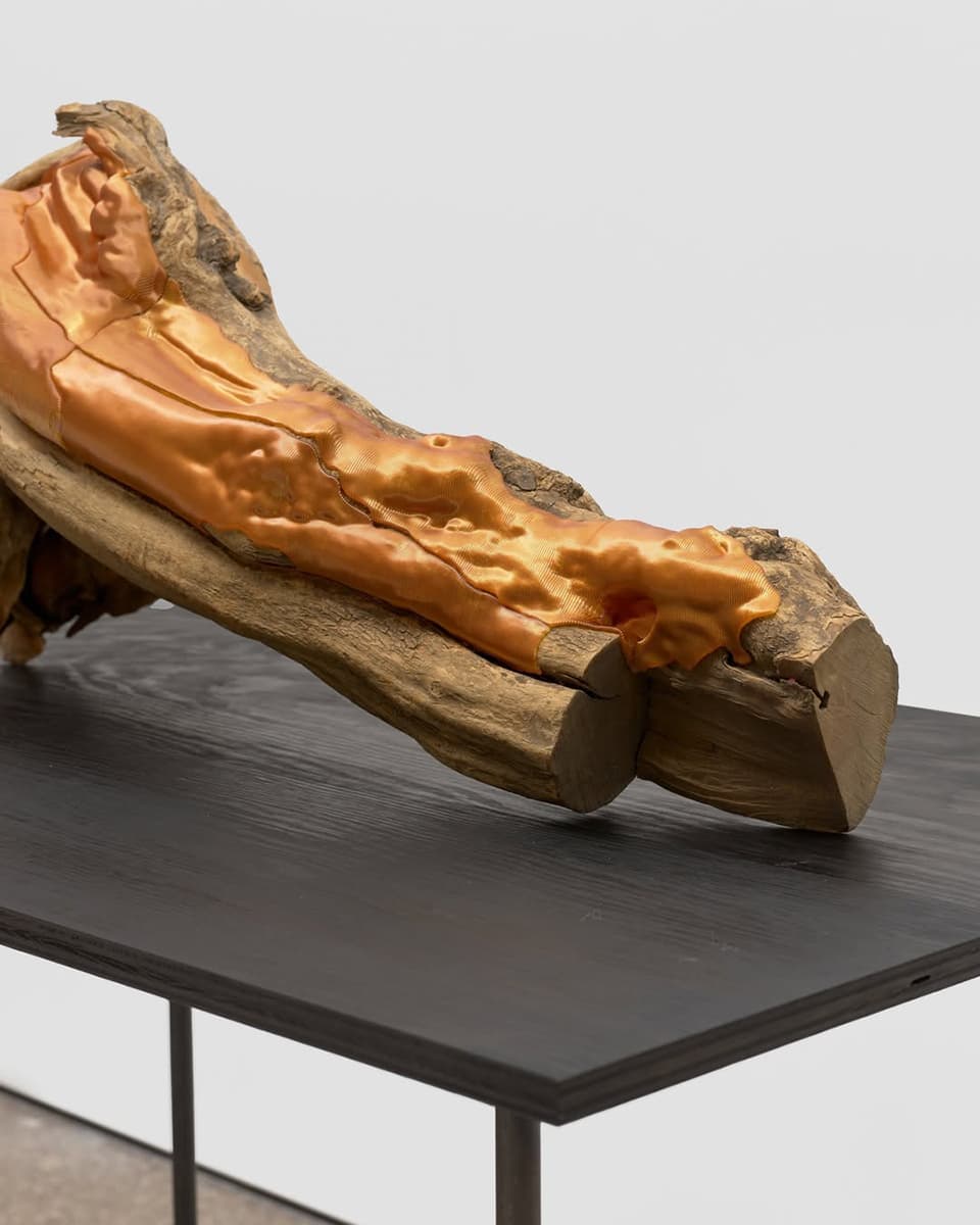 BRAFA 2026: выбор Design Mate