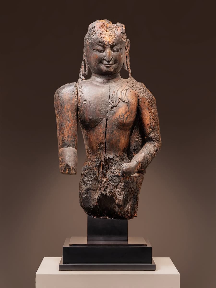 BRAFA 2026: выбор Design Mate