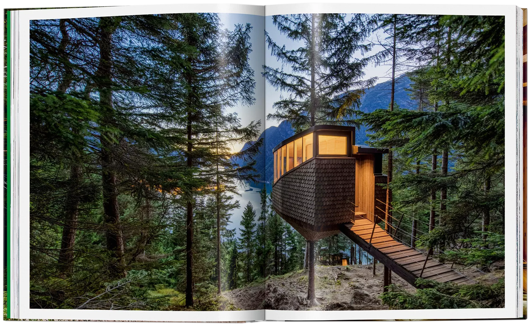 Modern Tree Houses