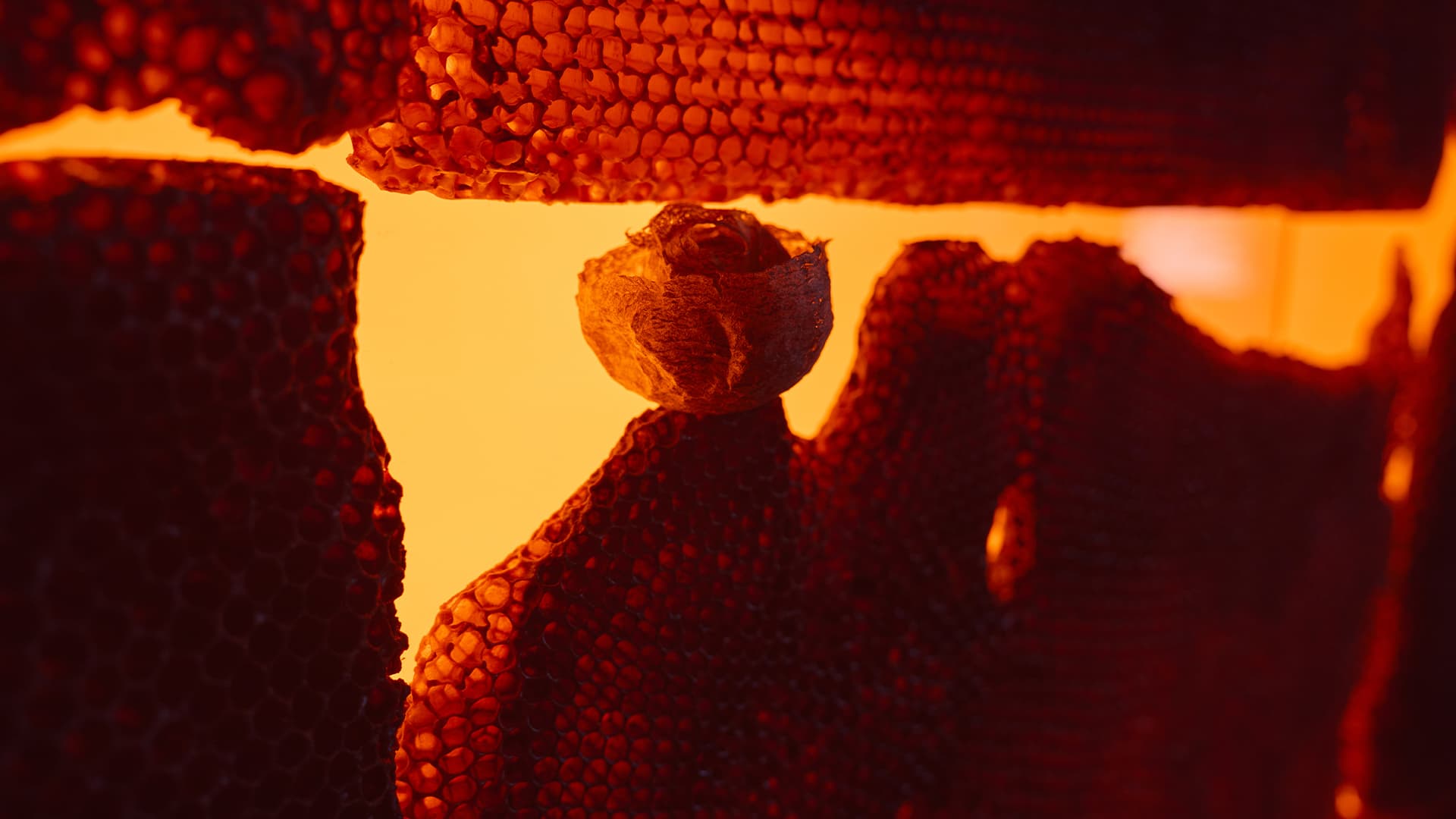 Самое интересное из мира дизайна и искусства: со 9 по 15 марта Самое интересное из мира дизайна и искусства: со 9 по 15 марта