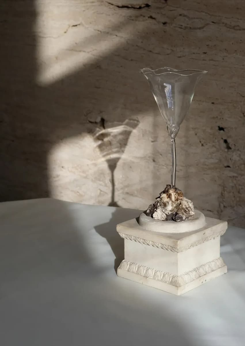 Collectible Brussels 2026: выбор Design Mate