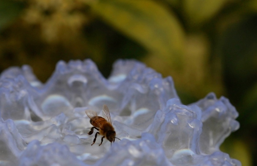 Объект Faux Flora помогает пчелам ориентироваться в загрязненных городах