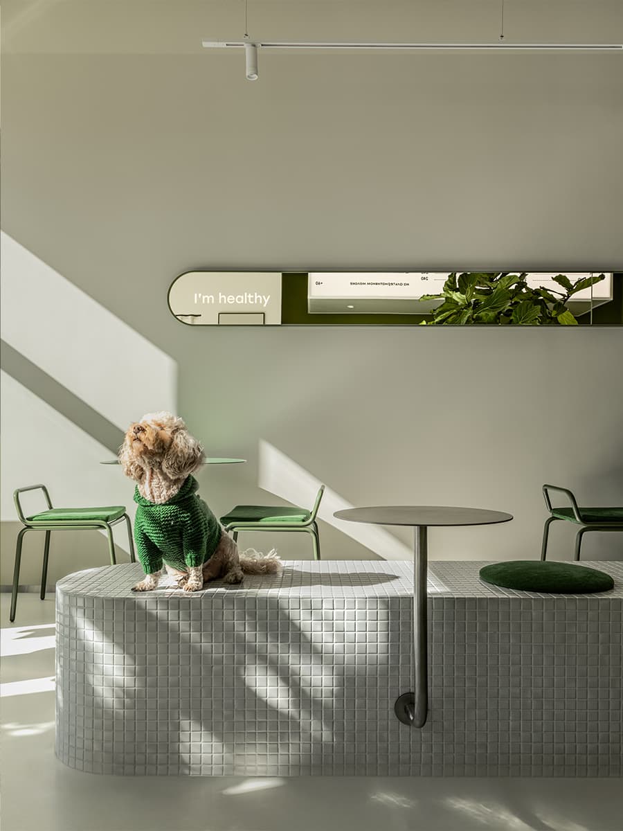 Бодрящие лаймовые тона в интерьере ресторана здорового питания — проект студии дизайна 1820