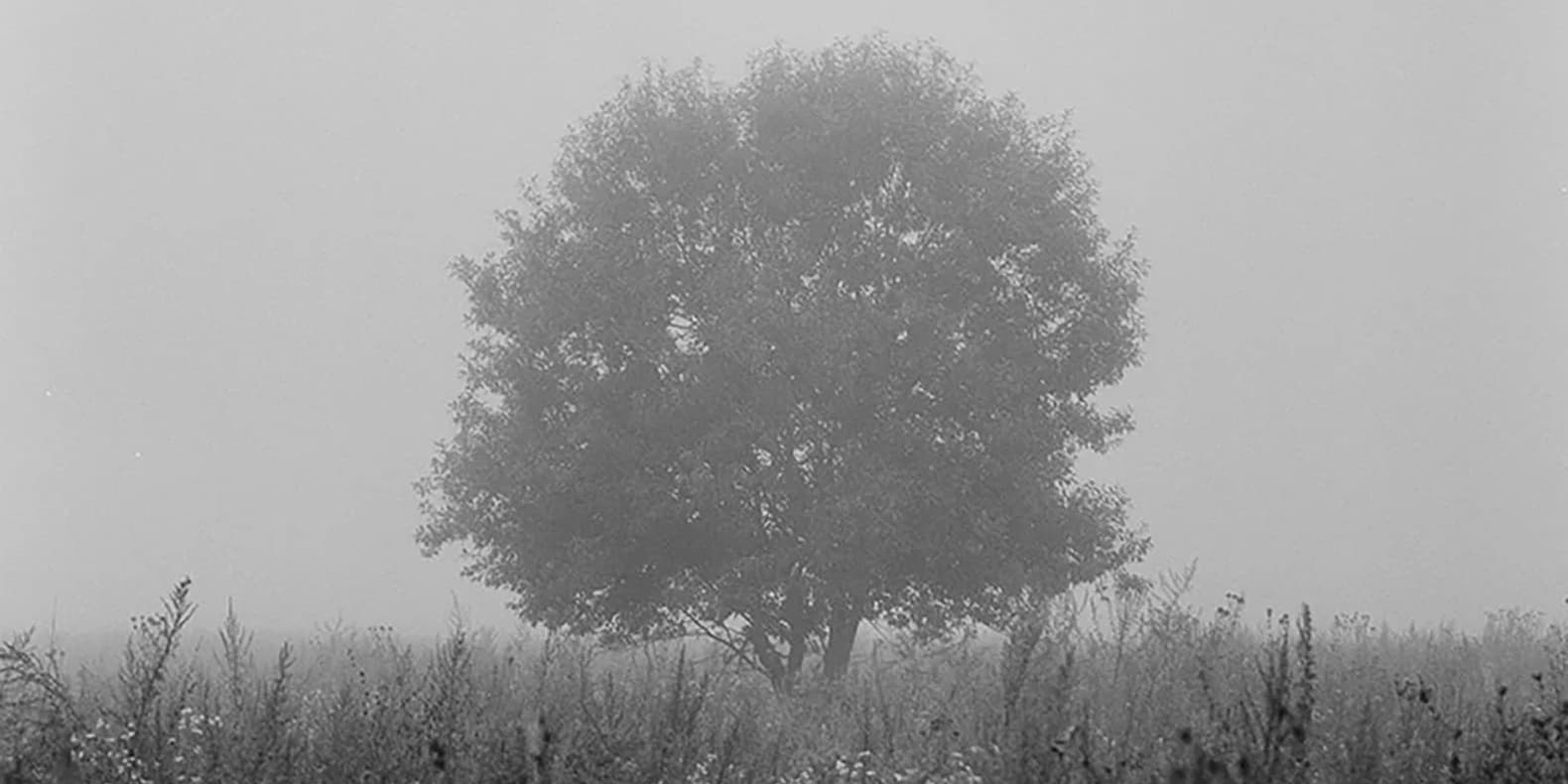 Самое интересное из мира дизайна и искусства: с 27 апреля по 3 мая 2026