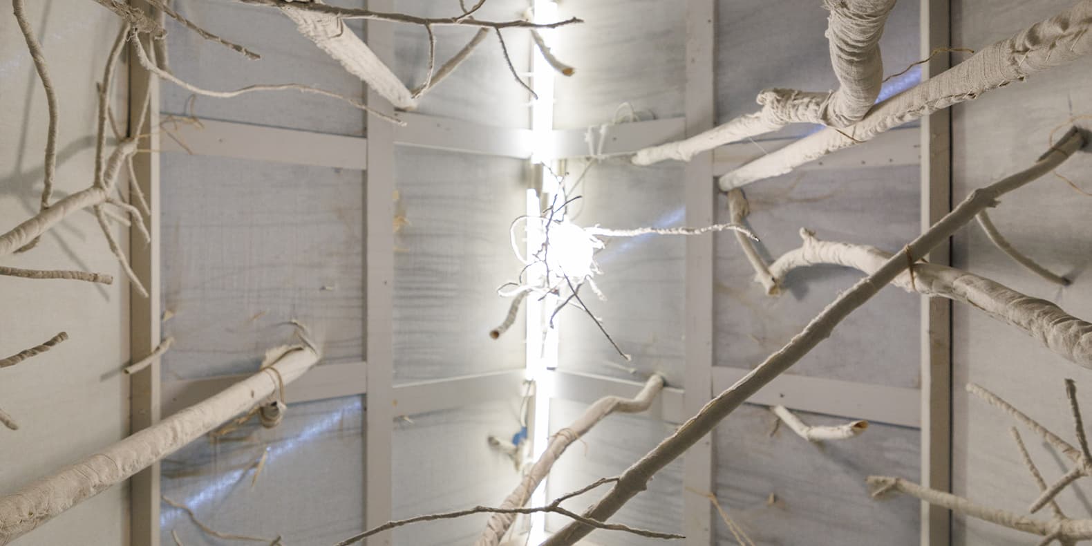 Самое интересное из мира дизайна и искусства: с 27 апреля по 3 мая 2026