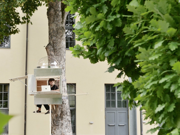 Студия Opposite Office построила офис на дереве