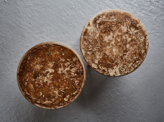 Дизайнер Себастьян Кокс разрабатывает мебель из грибного мицелия
