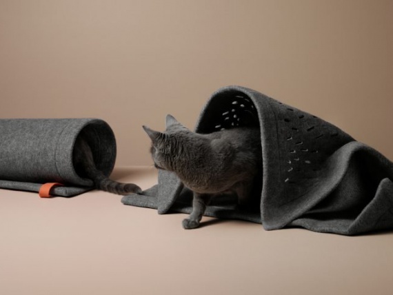 Лондонский бренд Dote разработал серию аксессуаров для кошек
