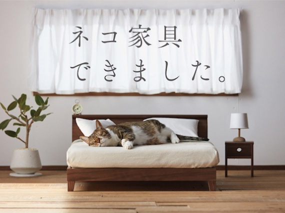 Японские мастера сделали миниатюрную мебель для кошек