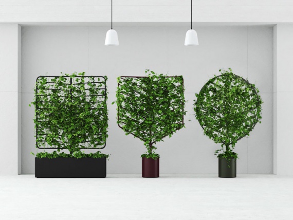 Австрийский дизайнер сделала экраны для вьющих домашних растений