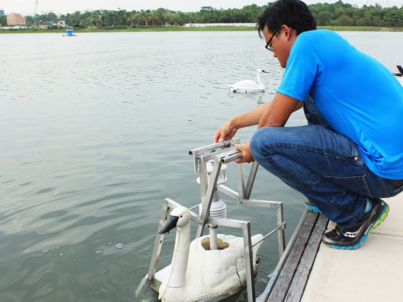 Качество воды в Сингапуре будут контролировать роботизированные лебеди