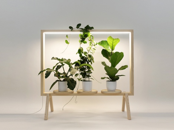 Шведская студия дизайна сделала рамку с подсветкой для растений