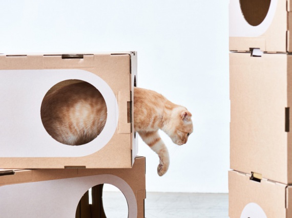 Дизайнеры придумали модульный дом для кошек