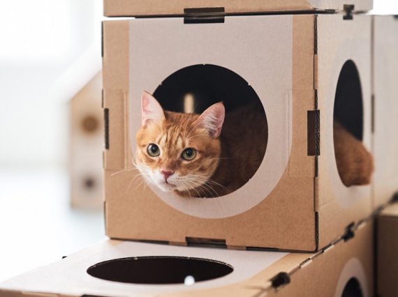 Дизайнеры придумали модульный дом для кошек