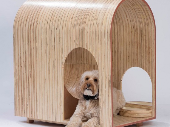 Бюро Захи Хадид и другие известные студии сделали будки для собак