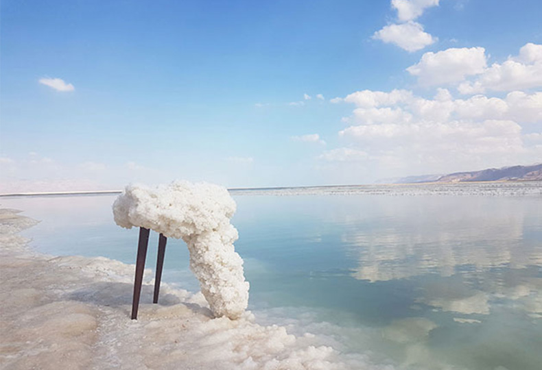 Стул с солью Мертвого моря, Эрез Неви Пана