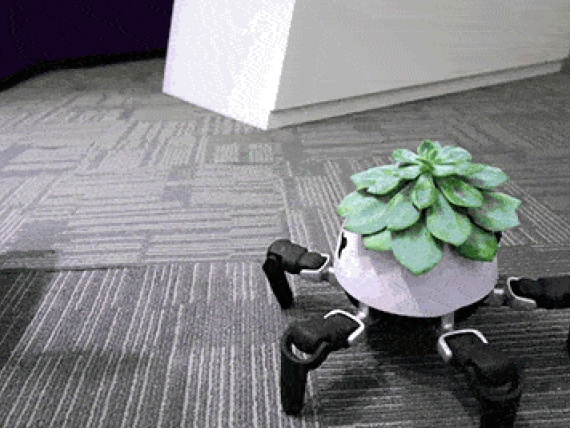 Китайский изобретатель создал роботизированный горшок для растений