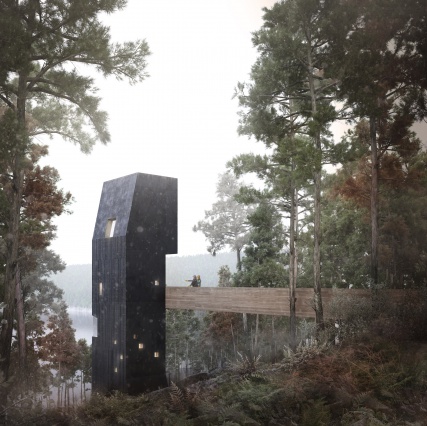 Архитекторы построят смотровую башню в шотландском лесу