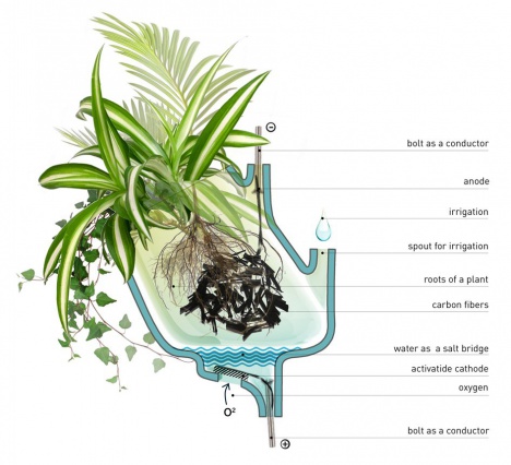 Елена Митро использует растения для получения энергии