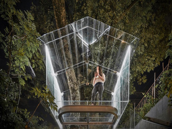 Мексиканский архитектор построил прозрачный дом на дереве