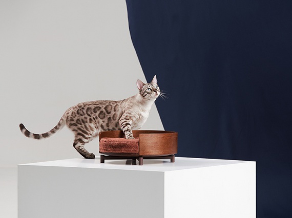 Корейские дизайнеры сделали мебель для домашних животных