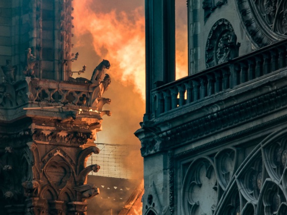 Нидерландские дизайнеры предлагают напечатать крышу собора Нотр-Дам из пепла