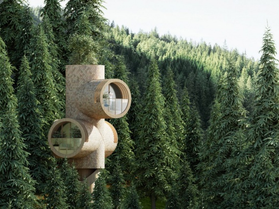 Архитекторы Precht представляют лучший дом на дереве
