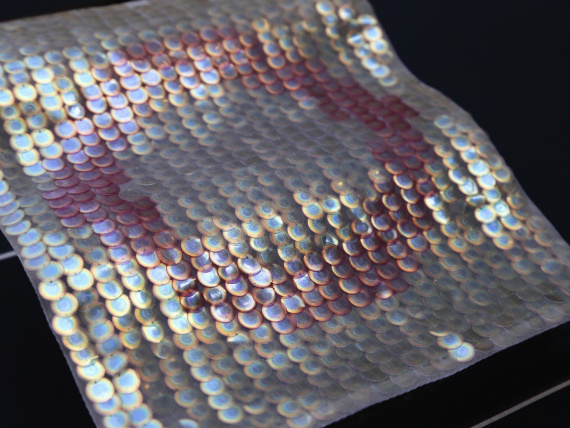 Дизайнер Элисса Брунато делает пайетки из биопластика