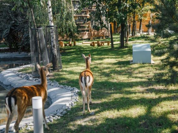 В Московском зоопарке открылось новое детское пространство