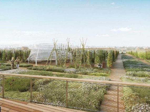 Самая большая городская ферма в мире откроется на крыше в Париже