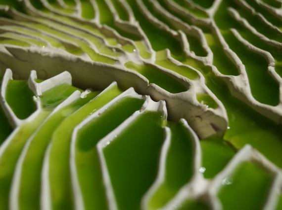 Bio-ID Lab создали глиняную плитку из водорослей, очищающую воду от вредных примесей