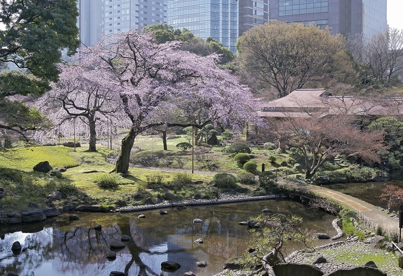Сад Коисикава Коракуэн, Бункё, Токио