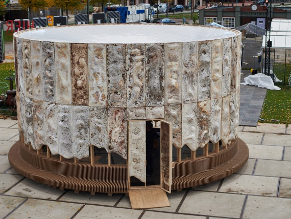 Паскаль Лебук создал биоразлагаемый павильон из грибного мицелия в рамках Голландской недели дизайна