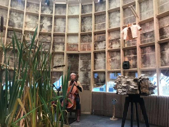 Паскаль Лебук создал биоразлагаемый павильон из грибного мицелия в рамках Голландской недели дизайна