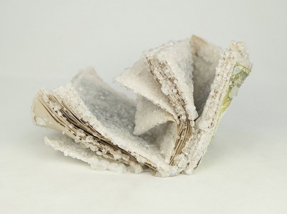 Алексис Арнольд превращает старые книги в покрытые кристаллами скульптуры