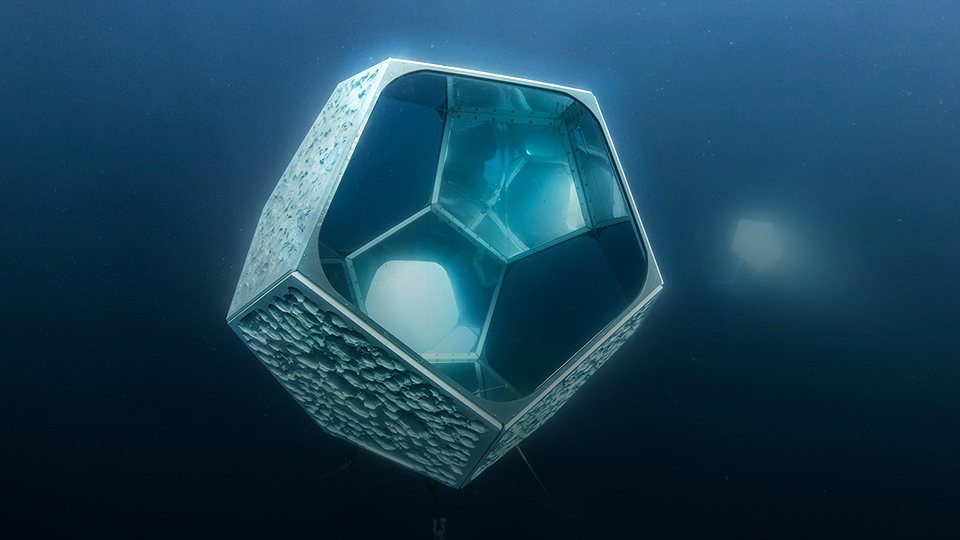 Подводный павильон: как американец Дуг Эйткен стал показывать искусство в океане