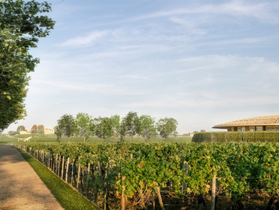 Foster + Partners построит куполообразную винодельню в Бордо