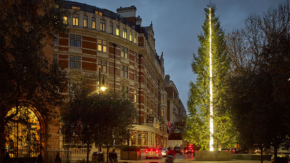 Елка с огненным стволом, Лондон. Альтернативные елки: как дизайнеры переосмысливают главный символ Нового года