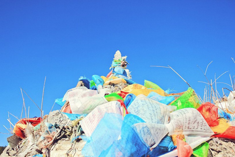 Genecis Bioindustries превращает пищевые отходы в компостируемый пластик