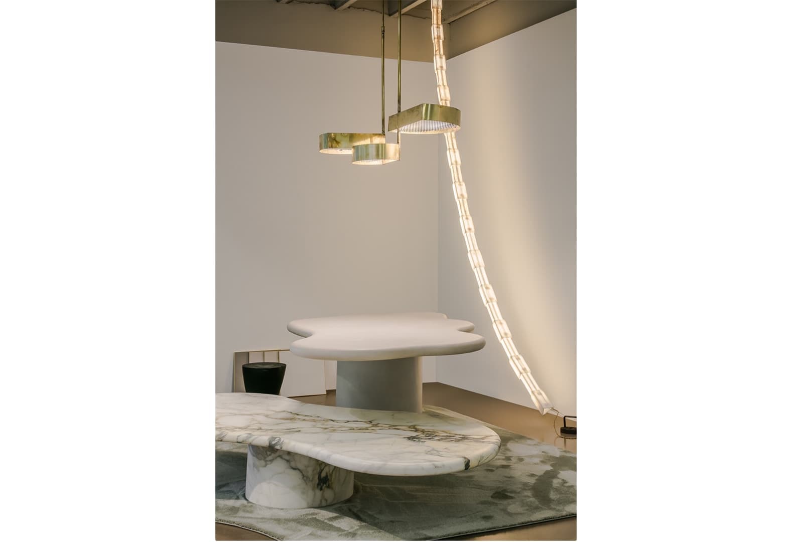 Collectible 2020. NAAZ