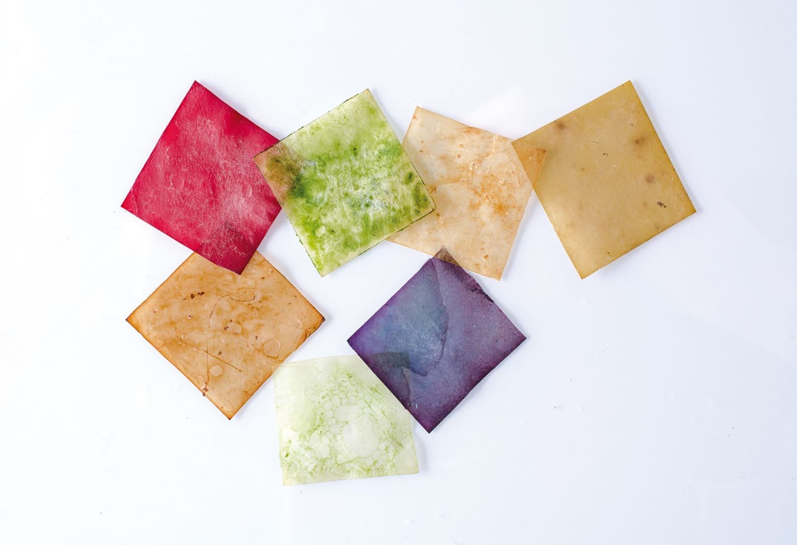 «От корки до корки» — из дрожжей и бактерий