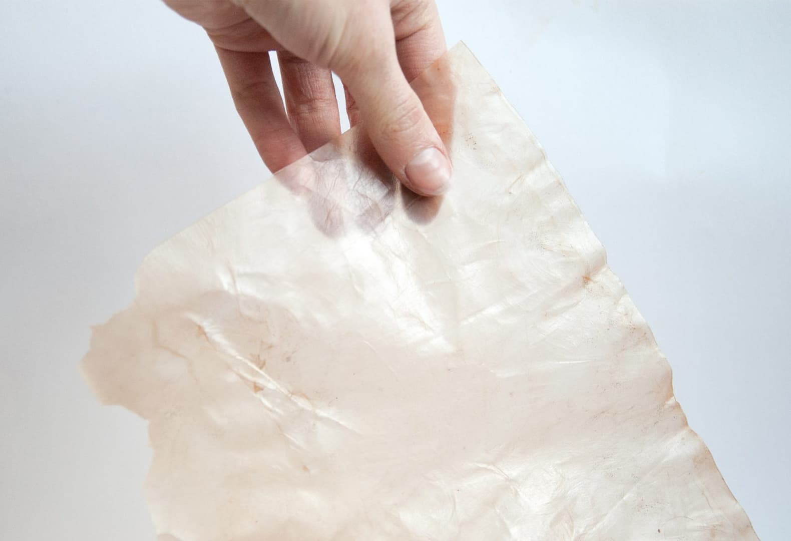 «От корки до корки» — из дрожжей и бактерий